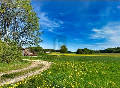 LASSEN SIE IHRER KREATIVITÄT FREIEN LAUF zimmer