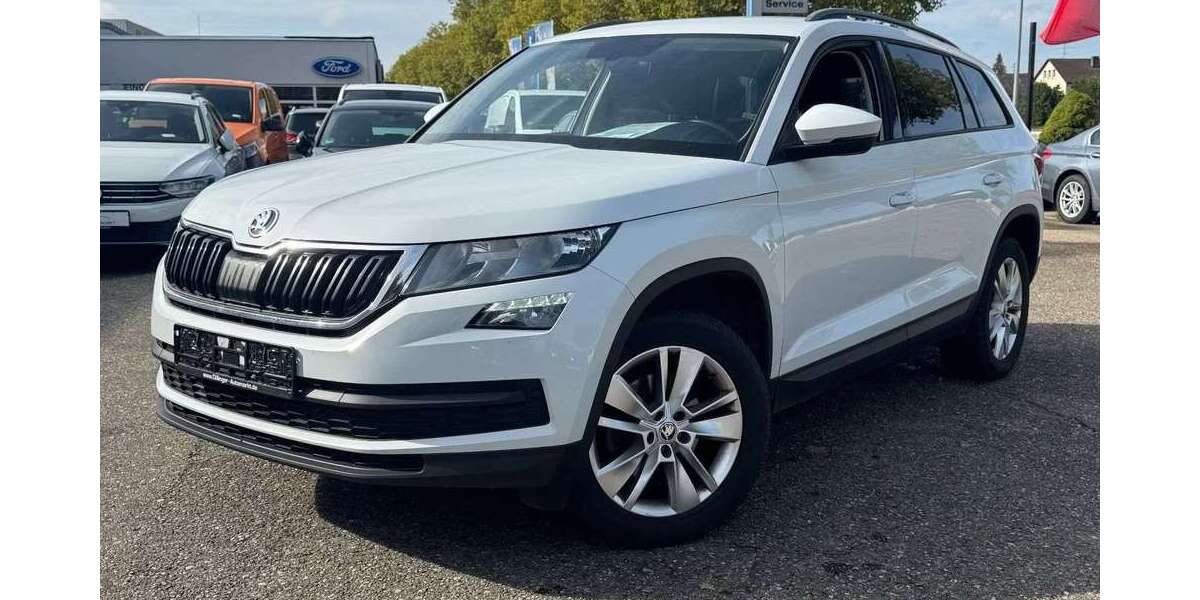 Skoda Kodiaq 196.500 km 16.870 &euro; Dillingen 89407