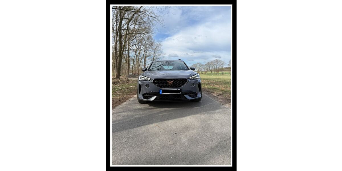 Cupra Formentor 91.000 km 26.500 &euro; Westergellersen 21394
