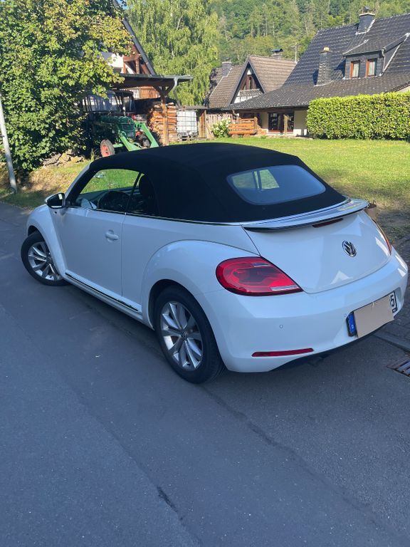 Beetle
