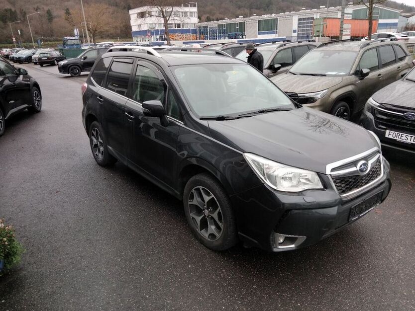 Forester