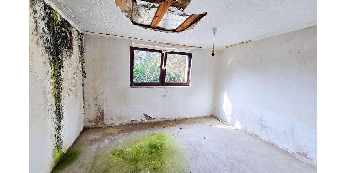 Grundstück Dessau-Roßlau Mosigkau - 45.000&euro; | Angebot:25834776