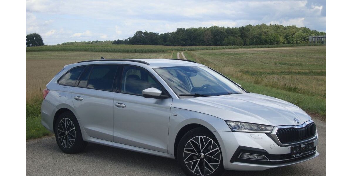 Skoda Octavia 32.481 km 21.490 &euro; Pommersfelden 96178