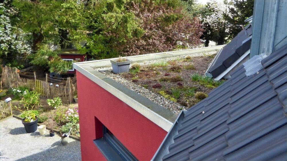 Doppelhaushälfte Lübeck Buntekuh - 4 Zimmer, 124 m&sup2;, 595.000&euro; | Angebot:25198075