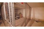 Gemütliche 3-Zimmer-Wohnung mit Balkon und Einbauküche - Dachgeschoßwohnung Chemnitz Altendorf | Angebot:25098842