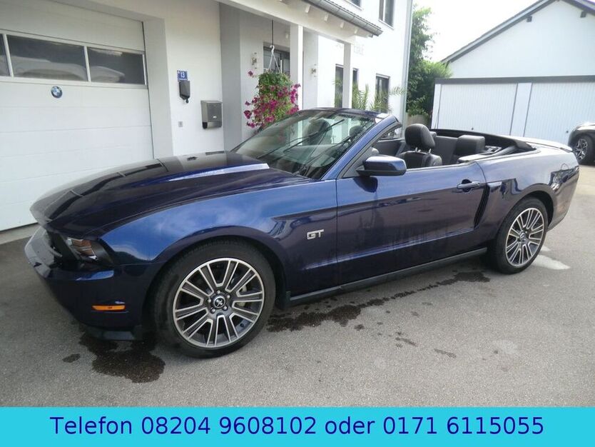 Mustang