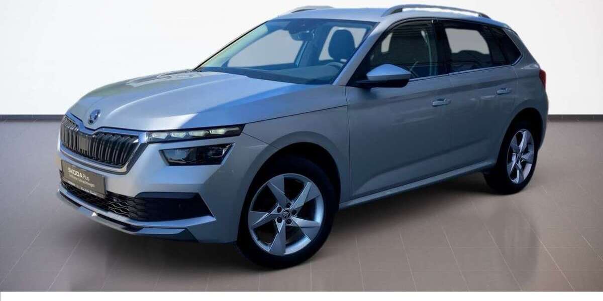Skoda Kamiq 123.550 km 14.490 &euro; Eggenfelden LK Pfarrkirchen 84307