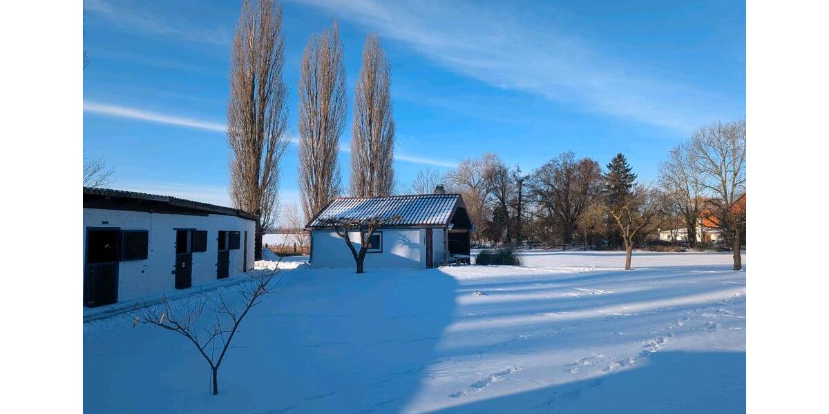 Mehrfamilienhaus, Wohnhaus Salzgitter Ortschaft Nord - 44 Zimmer, 400 m&sup2;, 500.000&euro; | Angebot:23512774