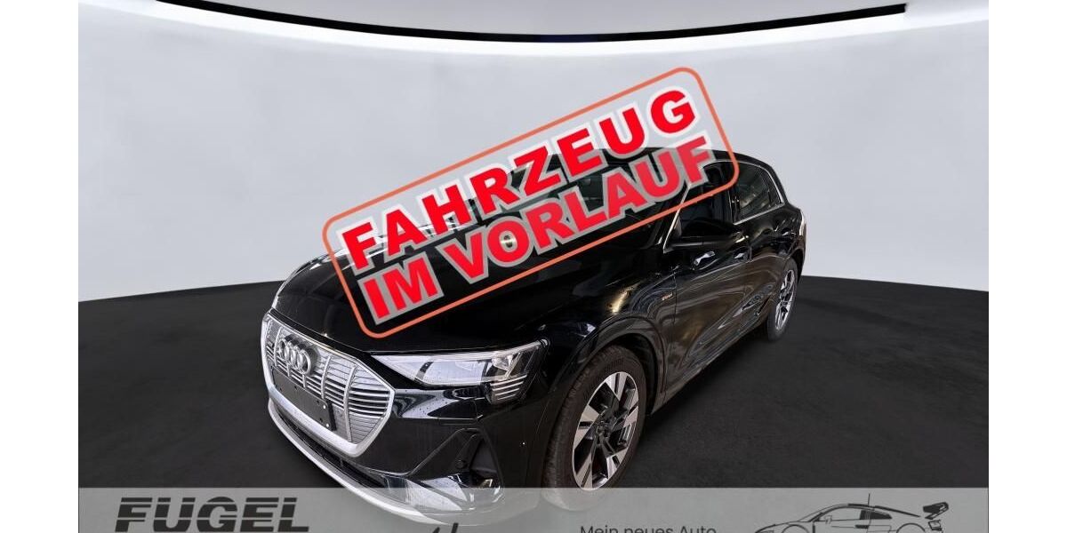 Audi e-tron 18.170 km 29.999 &euro; Chemnitz 09125