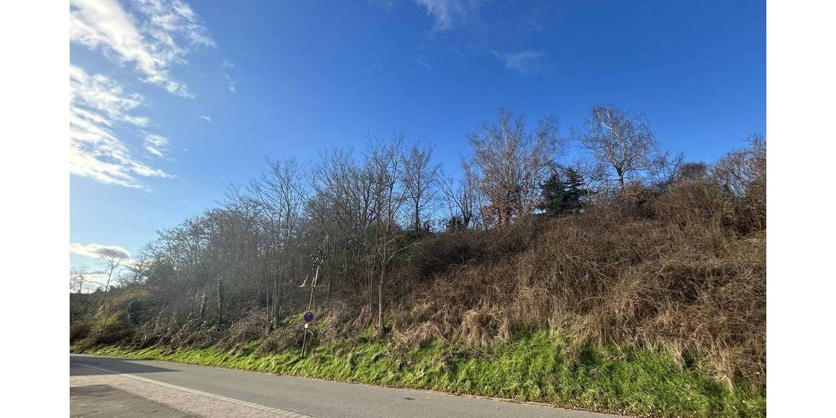 Grundstück Eisenberg (Pfalz) / Stauf Stauf - 199.000&euro; | Angebot:23954912