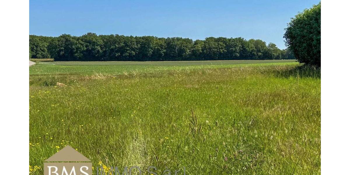 Grundstück Ferschweiler - 125.000&euro; | Angebot:23951793