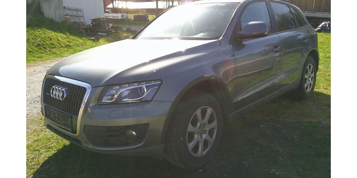Audi Q5 147.990 km 9.500 &euro; Steinigtwolmsdorf 01904