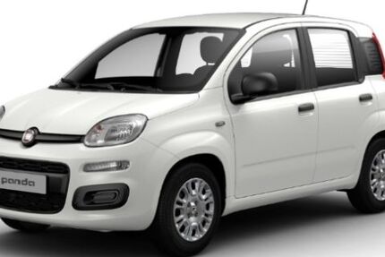 Fiat Panda 6.000 km 14.495 € Pohlheim 35415