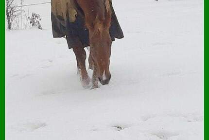 Haus Bad Belzig - 3 Zimmer, 110 m&sup2;, 250.000&euro; | Angebot:25725803