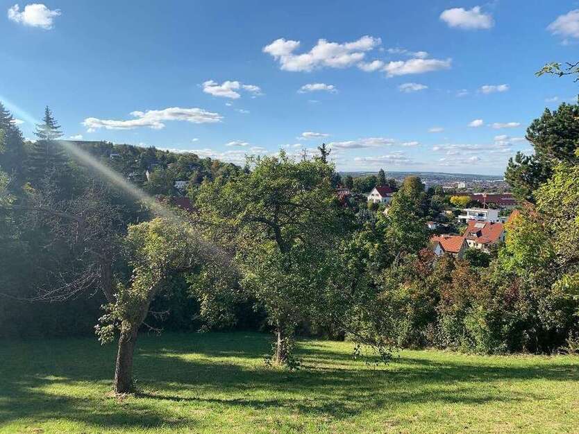 Grundstück zu verkaufen in Erfurt 569.000 € 1176 m²