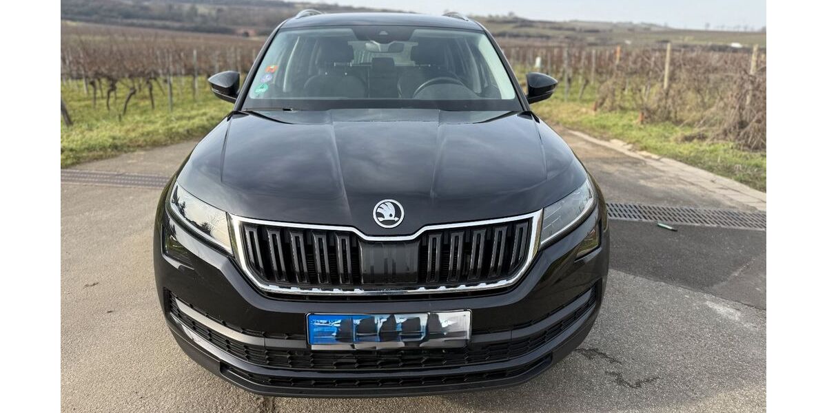 Skoda Kodiaq 90.100 km 26.100 &euro; Grünstadt 67269