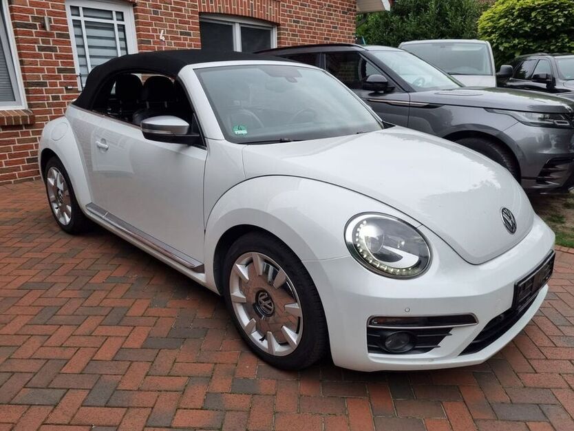 Beetle