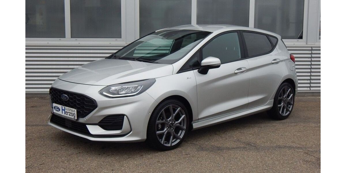 Ford Fiesta 18.000 km 18.490 &euro; Schramberg 78713