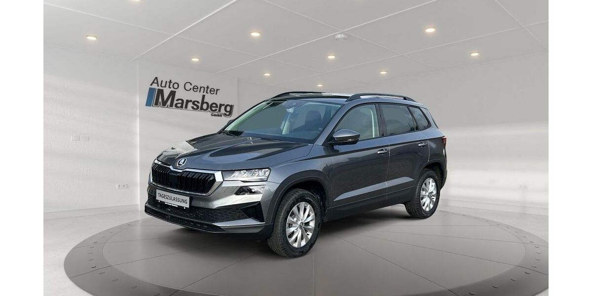 Skoda Karoq 1.500 km 34.990 &euro; Marsberg 34431