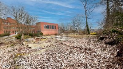 IDEAL FÜR IHR NEUES ZUHAUSE ODER INVESTMENT - Grundstück Plön | Angebot:26331962