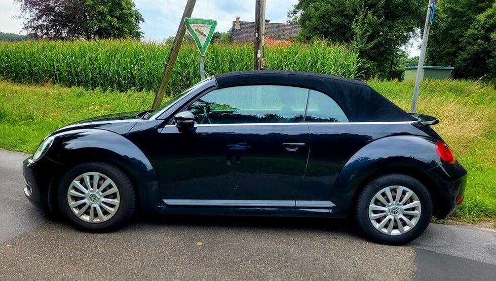 Beetle