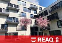 Wohnung zum Mieten in Aachen-Mitte 539,20 € 33.7 m²