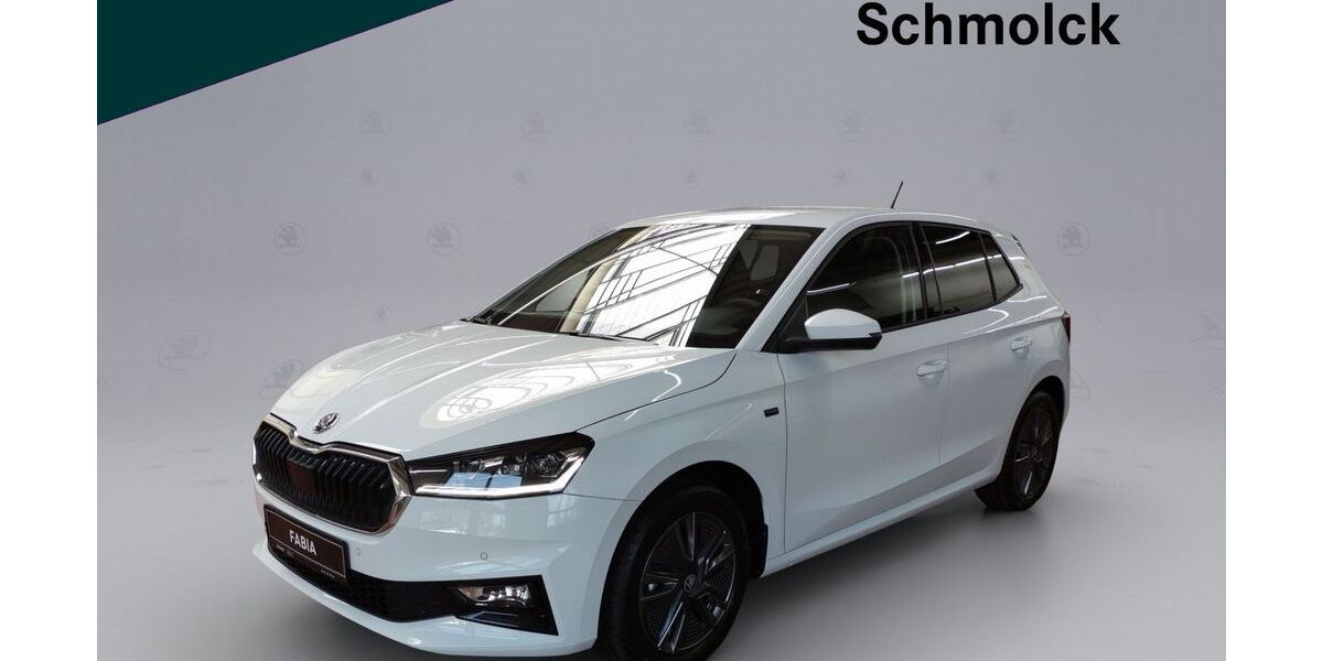 Skoda Fabia 13.000 km 17.890 &euro; Emmendingen 79312
