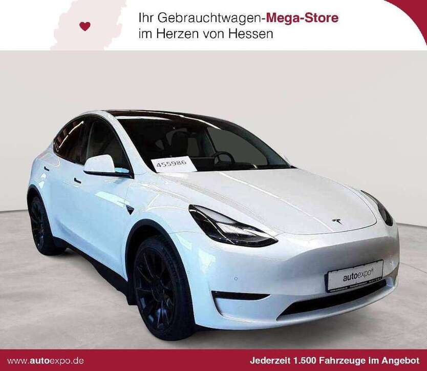 Model Y