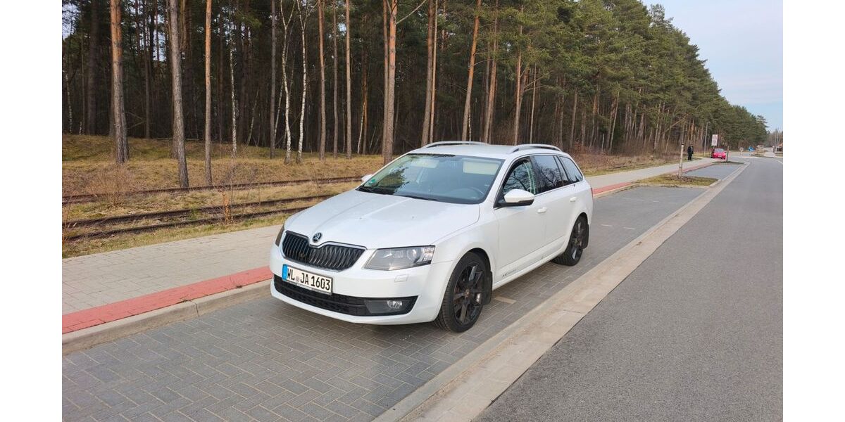 Skoda Octavia 379.000 km 5.990 &euro; Marschacht 21436