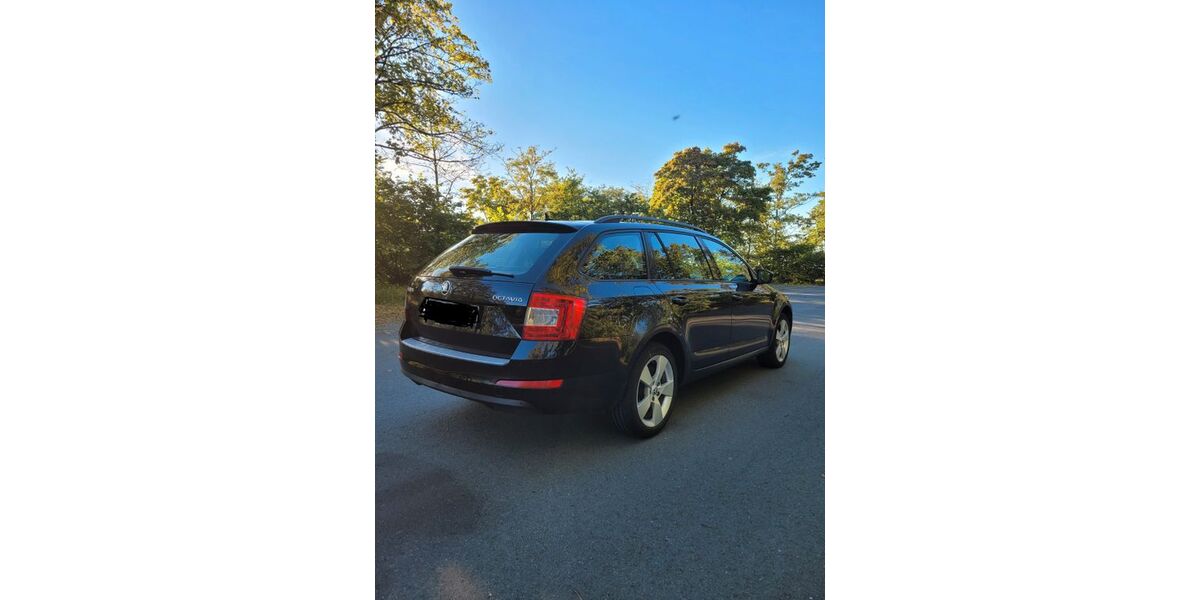 Skoda Octavia 310.000 km 5.750 &euro; Schmallenberg 57392