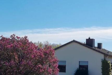 Haus Brakel - 4 Zimmer, 92 m&sup2;, 300.000&euro; | Angebot:25270245