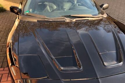 Pontiac Firebird 240.000 km 4.999 € Gelsenkirchen 45883