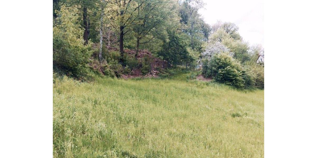 Grundstück Tharandt - 89.000&euro; | Angebot:23976084