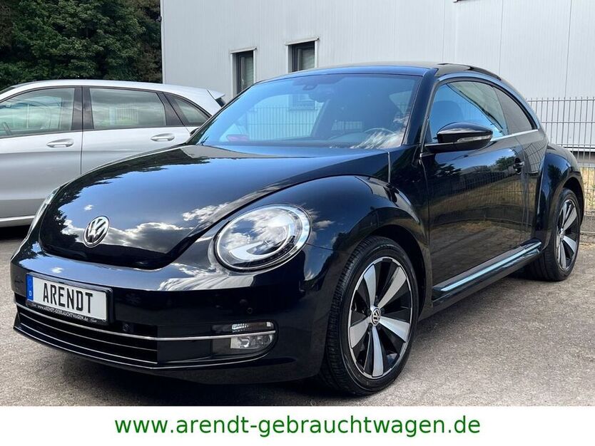 Beetle