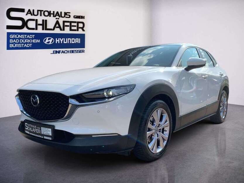 CX-30