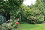 Einfamilienhaus Helmstedt - 6 Zimmer, 275.000&euro; | Angebot:23189010