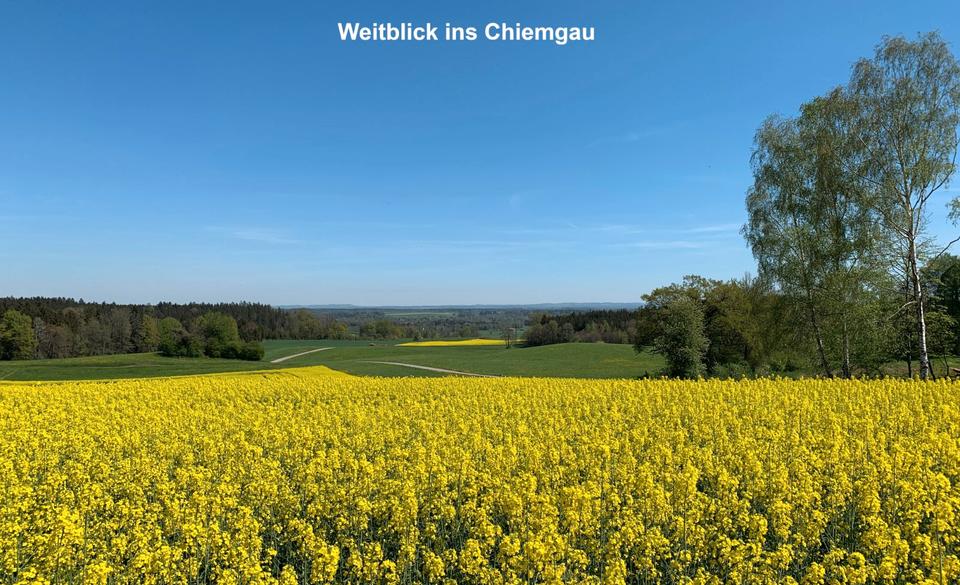 Einfamilienhaus Ebersberg - 3.400.000&euro; | Angebot:26959535