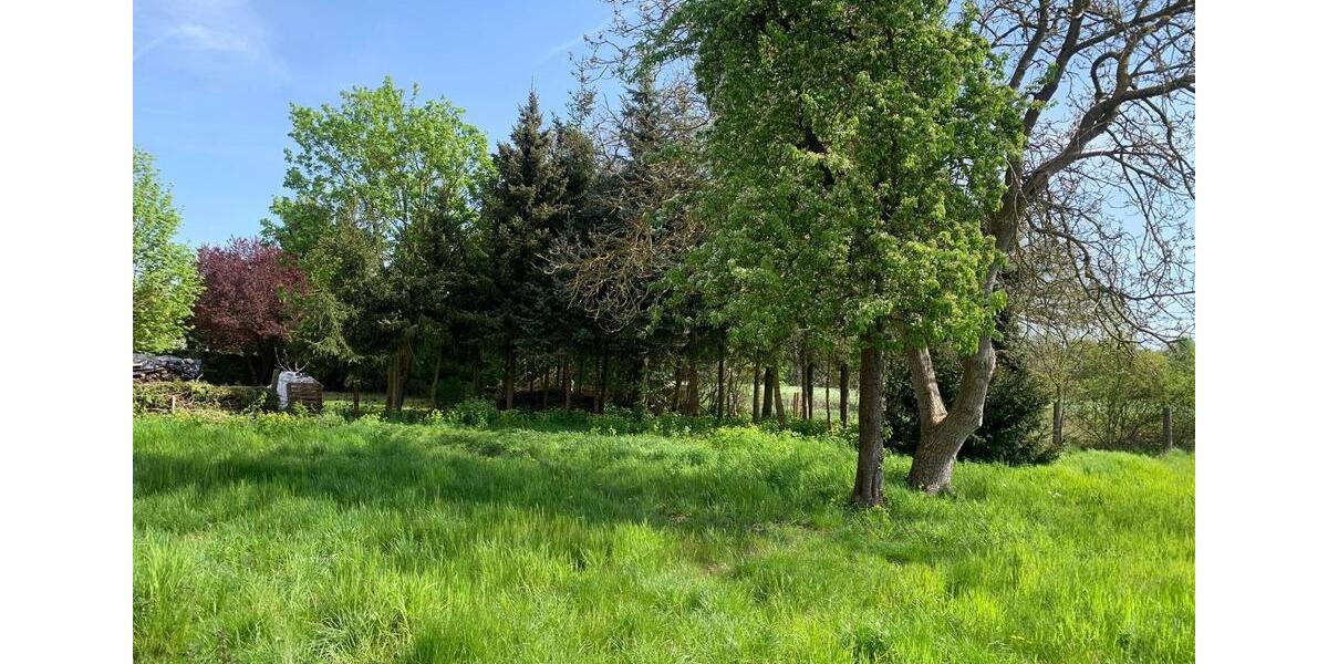 Einfamilienhaus Pritzwalk - 4 Zimmer, 122 m&sup2;, 239.000&euro; | Angebot:27086768