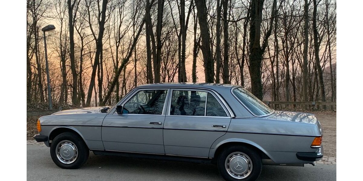 Mercedes-Benz 250 175.000 km 8.850 &euro; Zwingenberg 64673
