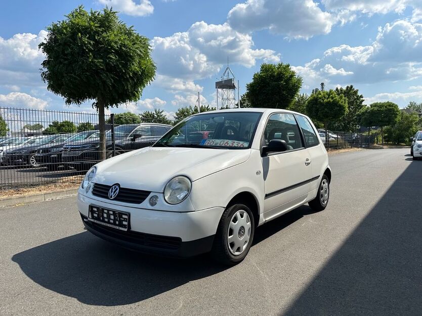 Lupo