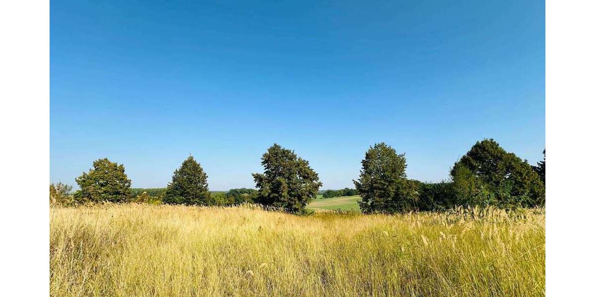 Grundstück Brüel - 98.000&euro; | Angebot:23409146