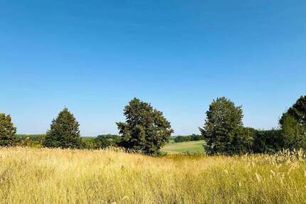 Grundstück zu verkaufen in Brüel 98.000 € 1037 m² zimmer