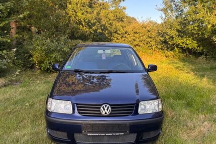 VW Polo 228.408 km 1.199 € Neumünster 24539