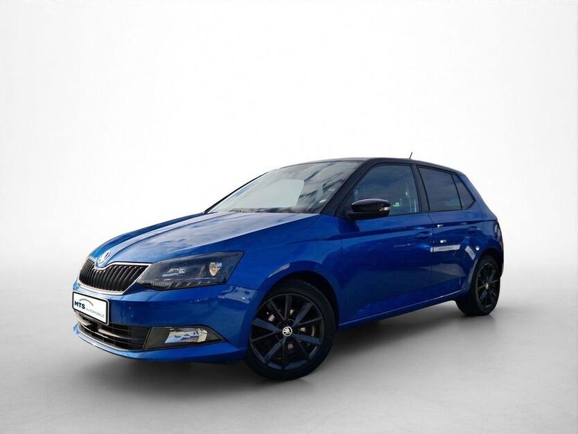 Skoda Fabia 143.880 km 7.950 € Friedberg 61169