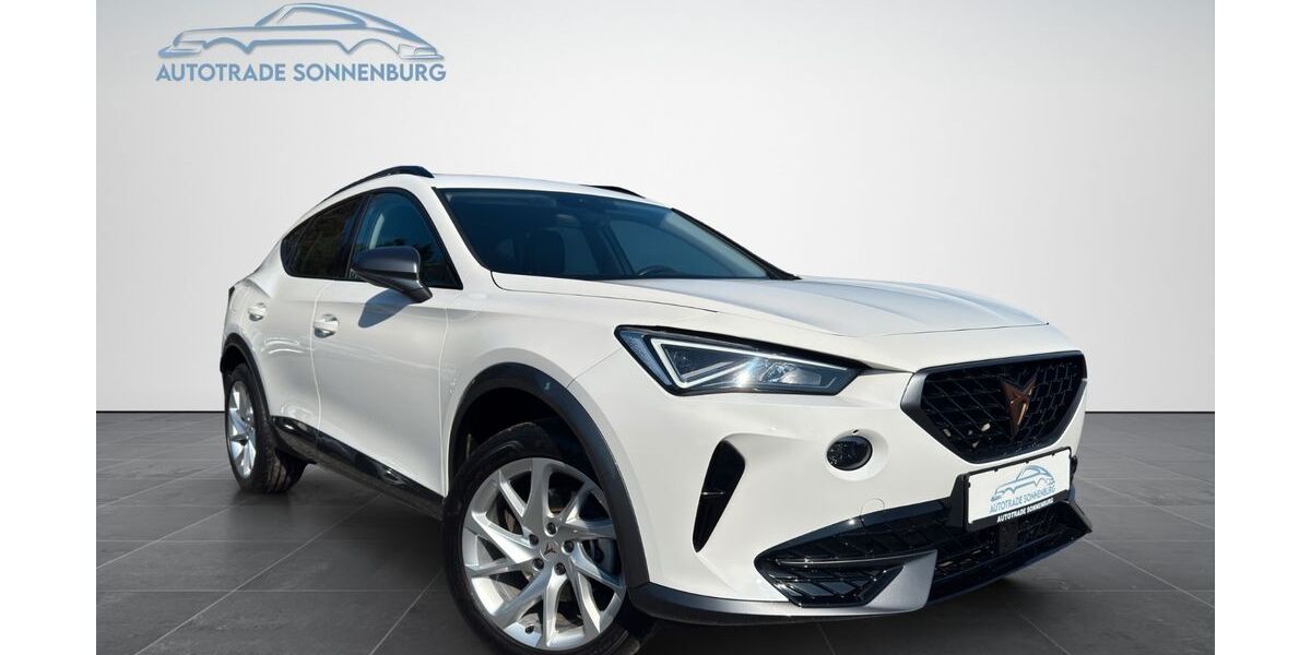 Cupra Formentor 21.340 km 25.990 &euro; Mehlingen 67678