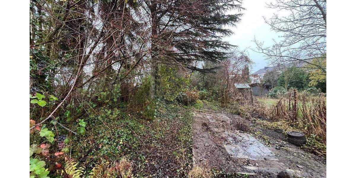 Einfamilienhaus Brühl - 4 Zimmer, 85 m&sup2;, 269.000&euro; | Angebot:24859806