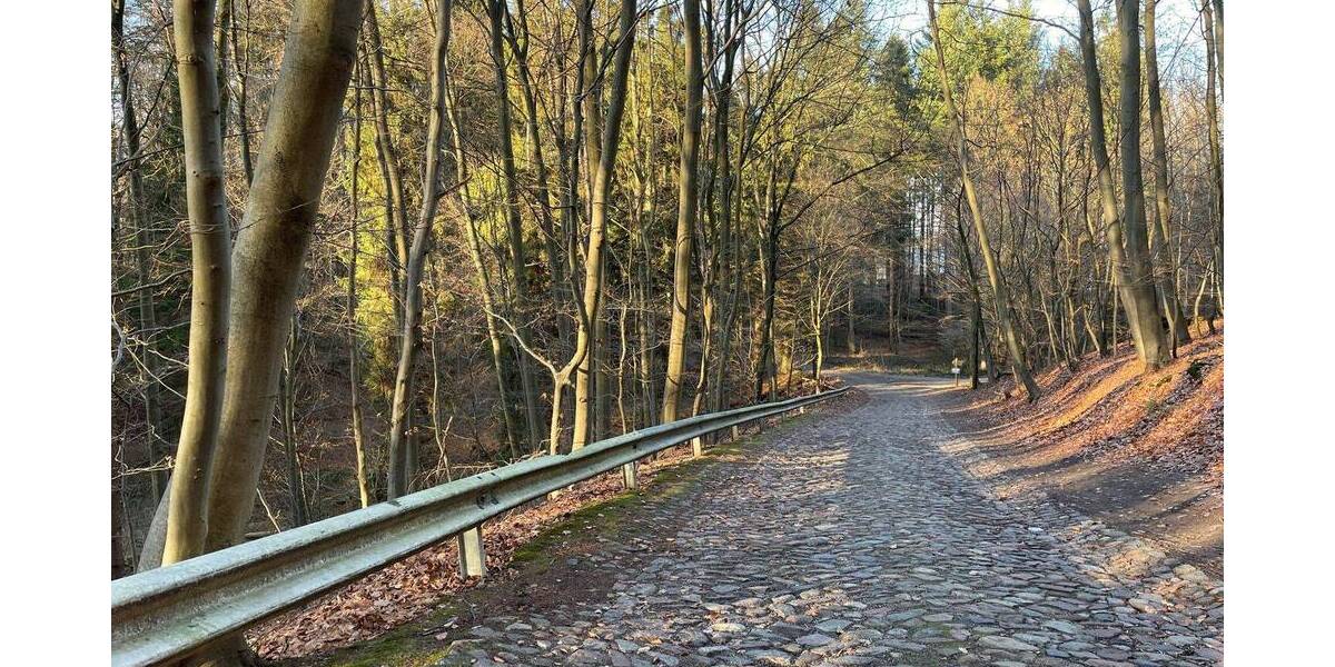 Mehrfamilienhaus, Wohnhaus Ratzeburg - 1 Zimmer, 432 m&sup2;, 550.000&euro; | Angebot:26246759