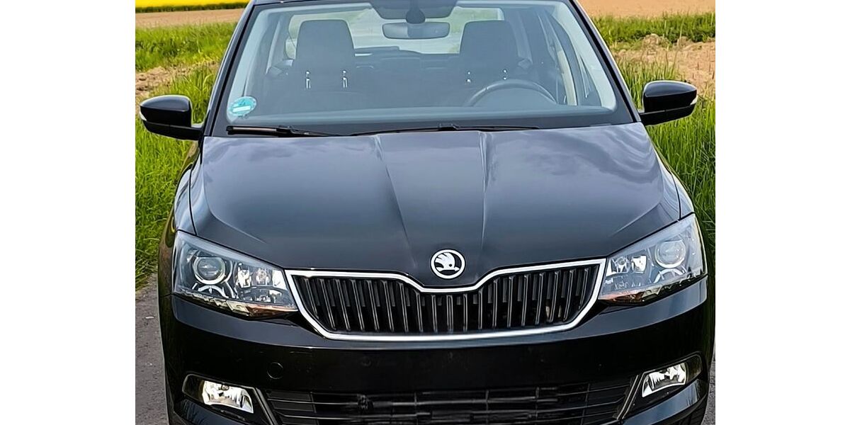 Skoda Fabia 119.000 km 8.800 &euro; Welver 59514