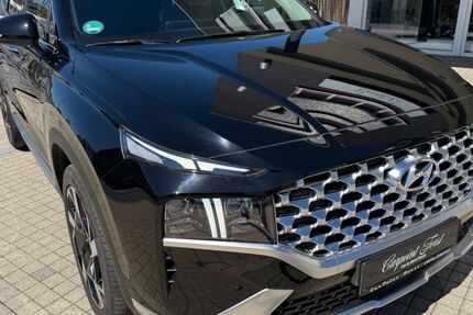 Hyundai SANTA FE 80.100 km 34.555 &euro; Forst 76694