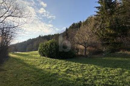 RUHE UND NATUR MIT EIGENER QUELLE (KEIN BAULAND) zimmer